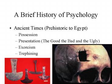 A Brief History of Psychology