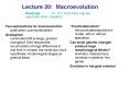 Lecture 20: Macroevolution PowerPoint PPT Presentation