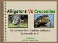 Alligators Vs Crocodiles PowerPoint PPT Presentation