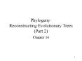 Phylogeny: Reconstructing Evolutionary Trees (Part 2) PowerPoint PPT Presentation