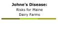 Johnes Disease: PowerPoint PPT Presentation
