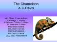 The Chameleon  A.C.Davis PowerPoint PPT Presentation