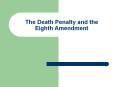 The Death Penalty and the Eighth Amendment PowerPoint PPT Presentation