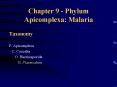 Chapter 9 Phylum Apicomplexa: Malaria PowerPoint PPT Presentation