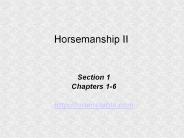 Horsemanship II