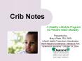 Crib Notes PowerPoint PPT Presentation