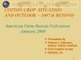COTTON CROP SITUATION AND OUTLOOK 2007 PowerPoint PPT Presentation