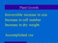 Plant Growth PowerPoint PPT Presentation