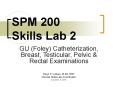 SPM 200 Skills Lab 2 PowerPoint PPT Presentation