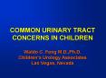 COMMON URINARY TRACT CONCERNS IN CHILDREN Waldo C. Feng M.D.,Ph.D. Childrens Urology Associates Las PowerPoint PPT Presentation