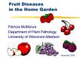 Fruit Diseases in the Home Garden PowerPoint PPT Presentation