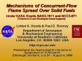 Mechanisms of ConcurrentFlow Flame Spread Over Solid Fuels Under NASA Grants NAG31611 and NCC3671 Th PowerPoint PPT Presentation