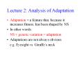 Lecture 2: Analysis of Adaptation PowerPoint PPT Presentation