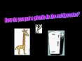 How do you put a giraffe in the refrigerator PowerPoint PPT Presentation