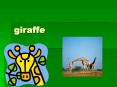 giraffe PowerPoint PPT Presentation