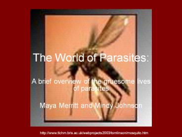 The World of Parasites: