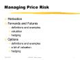 Managing Price Risk PowerPoint PPT Presentation