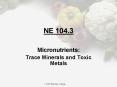 NE 104.3 PowerPoint PPT Presentation