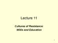 Cultures of Resistance: PowerPoint PPT Presentation