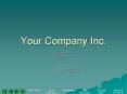 Your Company Inc.