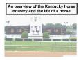 An overview of the Kentucky horse industry and the life of a horse. PowerPoint PPT Presentation