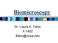 Biomicroscopy PowerPoint PPT Presentation
