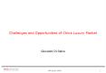 Challenges and Opportunities of China Luxury Market PowerPoint PPT Presentation