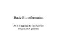 Basic Bioinformatics PowerPoint PPT Presentation