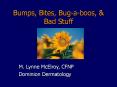 Bumps, Bites, Bugaboos, PowerPoint PPT Presentation