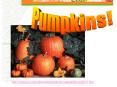 http:www.hort.purdue.eduextseniorvegetablpumpkin1.htm PowerPoint PPT Presentation