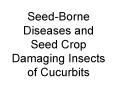 SeedBorne Diseases and Seed Crop Damaging Insects of Cucurbits PowerPoint PPT Presentation