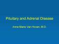 Pituitary and Adrenal Disease PowerPoint PPT Presentation