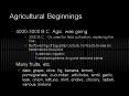 Agricultural Beginnings PowerPoint PPT Presentation