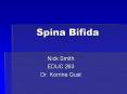 Spina Bifida PowerPoint PPT Presentation