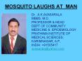 MOSQUITO LAUGHS AT MAN PowerPoint PPT Presentation