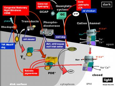 presentation player overlay