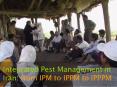 Integrated Pest Management in Iran: from IPM to IPPM to IPPPM PowerPoint PPT Presentation