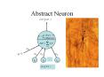 Abstract Neuron PowerPoint PPT Presentation