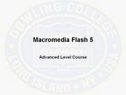 Macromedia Flash 5