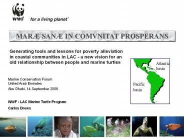 Marine Conservation Forum