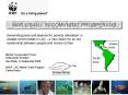 Marine Conservation Forum PowerPoint PPT Presentation