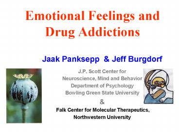 Emotional Feelings and Drug Addictions