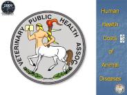 Human health costs of animals diseases