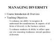 MANAGING DIVERSITY PowerPoint PPT Presentation