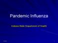 Pandemic Influenza PowerPoint PPT Presentation