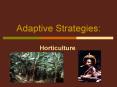 Adaptive Strategies: PowerPoint PPT Presentation
