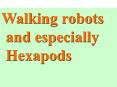 Walking robots and especially Hexapods PowerPoint PPT Presentation