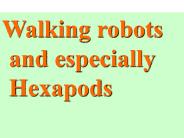 Walking robots and especially Hexapods