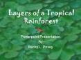 Layers of a Tropical Rainforest PowerPoint PPT Presentation