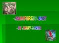 RAINFOREST UNIT PowerPoint PPT Presentation